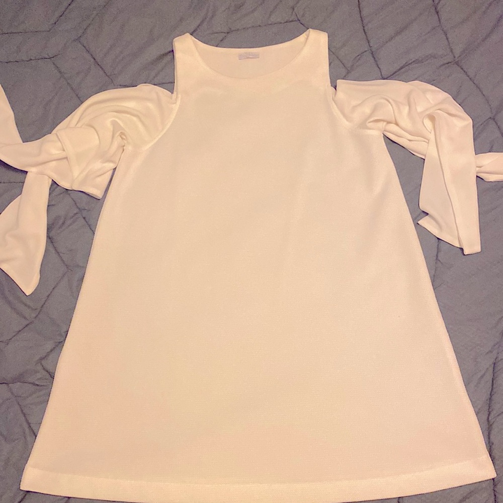 Zara Tie-Sleeve Mini Dress